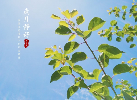 愿歲月靜好，山河無(wú)恙